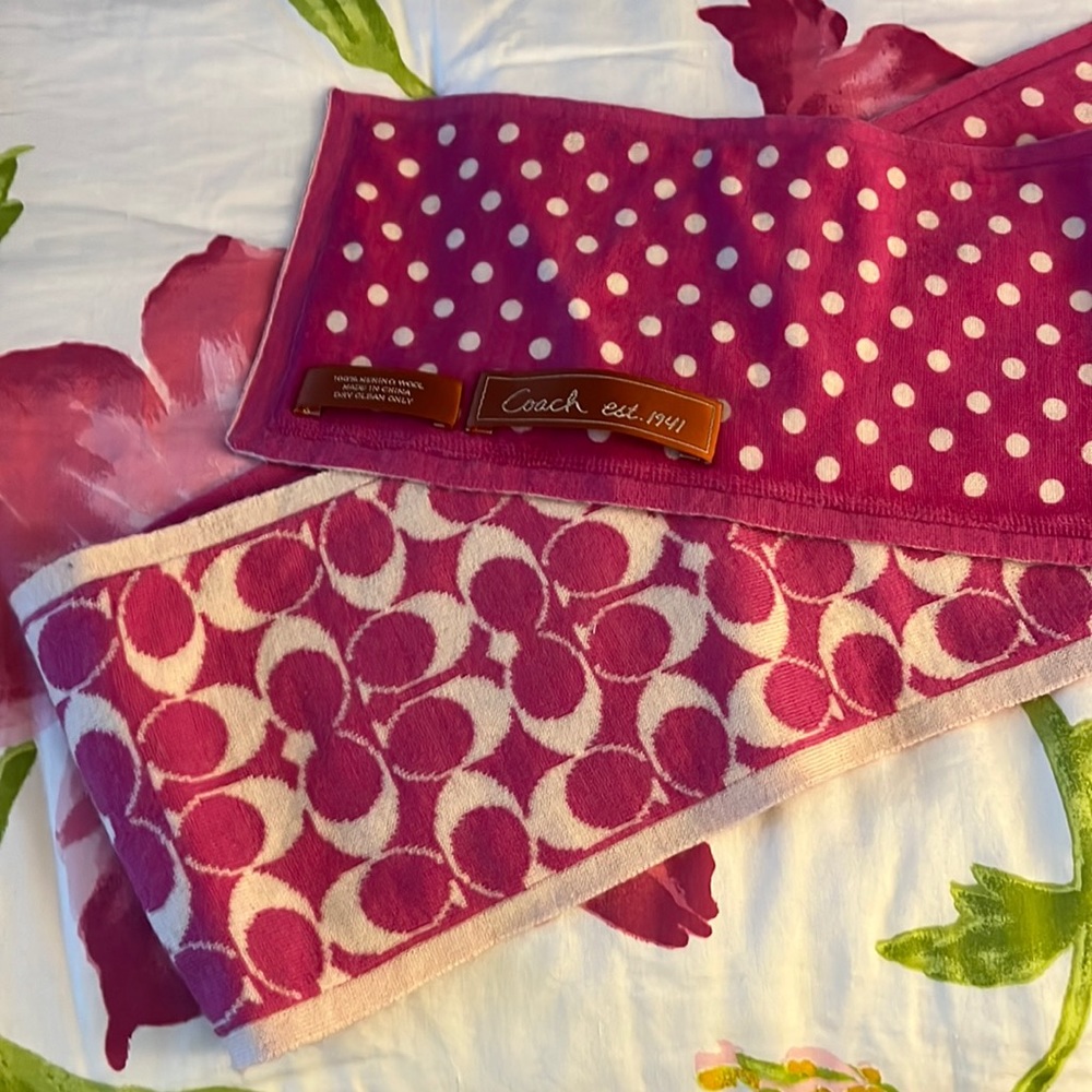 Beautiful Coach Scarf